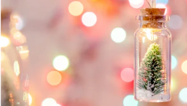 Zgodbe upanja: leto dosežkov humanitarnih in invalidskih organizacij