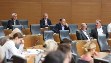 Borut Sever, Državni zbor